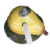 FACL64.1269