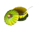 1355b