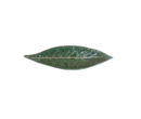 image-removebg-preview - 2023-08-18T112039.580