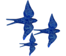 andorinhasazulescuro