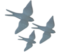 andorinhasbrancas
