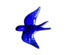 andorinhaazul