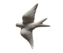 andorinhabranca