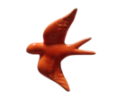andorinhalaranja