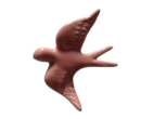 andorinharosaclaro