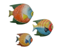 BASE PEIXE