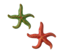 ESTRELA