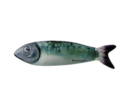 250-30sardinha