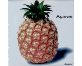 Magnético decorado 7.5x7.5 cm motivo ananás