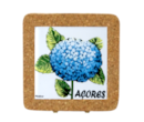 hortensia