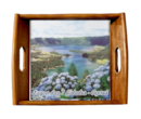 tabuleiro15x15lagoa7cidades