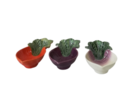 saladeirasnabo